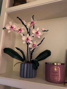 an orchid plant in a blue vase on top of a shelf next to a candle