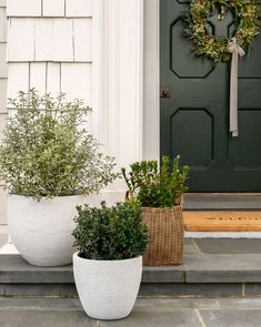 two large white planters with plants in them sitting on the front steps next to a green door