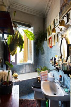 a bath room with a sink a mirror and a potted plant on the wall