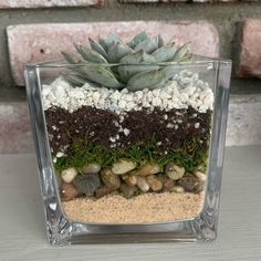 a glass planter filled with rocks and plants