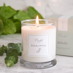 a white candle sitting on top of a table next to a box and green leaves