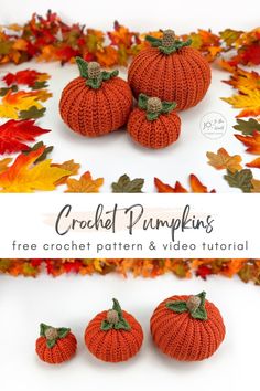 crochet pumpkins with leaves around them