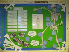 a bulletin board with a skeleton on it