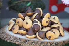 there is a pile of cookies that are on top of a tree stump in the yard