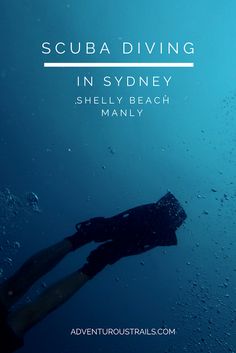 scuba diving in sydney, manlyy beach manlyy is the best place to dive