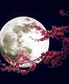 a full moon with pink flowers in the foreground and a poem written below it