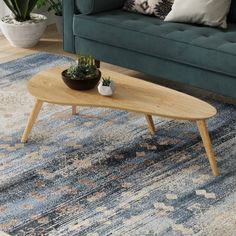 a living room with a couch, coffee table and potted plants on the rug