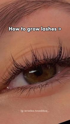 How to grow lashes. How To Grow Lashes, Beginner Skin Care Routine, Grow Lashes, Skin Care Basics, Face Skin Care Routine, How To Grow Eyelashes, Diy Skin Care Routine, Natural Face Skin Care, Good Skin Tips