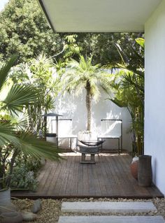 an outdoor patio with potted plants and rocks on the ground, surrounded by palm trees