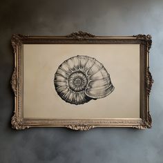 a drawing of a shell is hanging on the wall