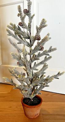 a small potted pine tree is sitting on the floor