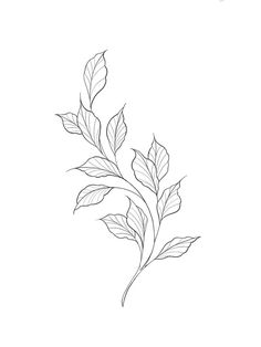 Leaf Tattoo Template, Tattoos Of Leaves, Philodendron Tattoo Leaves, Simple Leaf Tattoo Design, Vines And Leaves Tattoo, Tattoo Leaf Designs, Leaves Tattoo Drawing, Simple Leaves Tattoo, Leaves Drawing Tattoo