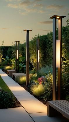 an outdoor garden with lights and plants