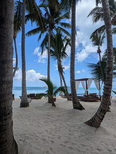 Saona Island, Dominican Republic Saona Island Dominican Republic, Sosua Dominican Republic, Beach Beds, Saona Island, Santo Domingo Dominican Republic, Sosua, Beach Bedding, Tropical Wallpaper