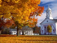 a white church surrounded by fall foliage and trees