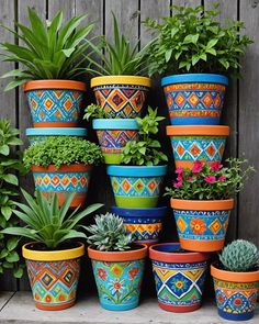 many colorful pots with plants in them