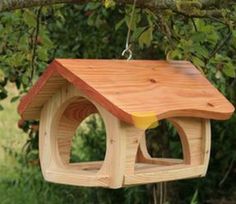 a bird house hanging from a tree branch