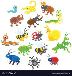 an image of bugs and insects in the shape of a circle on a white background