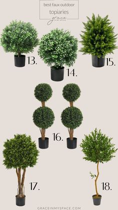 the topiary trees are shown in different sizes and shapes, with numbers on each side