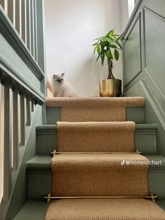 a cat sitting on top of a set of stairs next to a potted plant