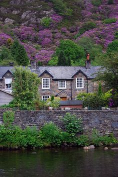 an old stone house next to a body of water with purple flowers on the hillside behind it