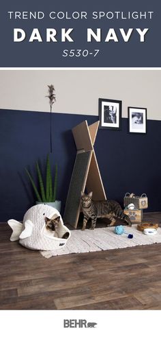 a cat laying on top of a rug next to a blue wall with the words trend color spotlight dark navy