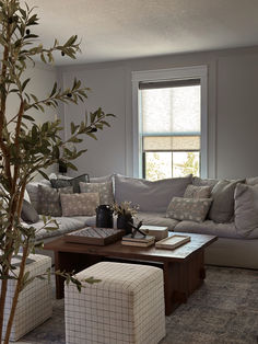 a living room filled with furniture and a tree in front of a window on top of a rug