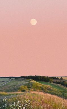 the sun is setting over an open field with grass and wildflowers in the foreground