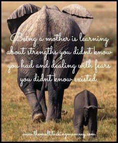 an elephant and its baby walking in the grass with a quote about being a mother