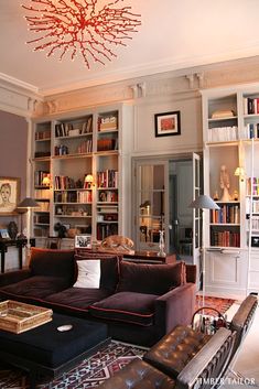 a living room filled with lots of furniture and bookshelves covered in shelves full of books