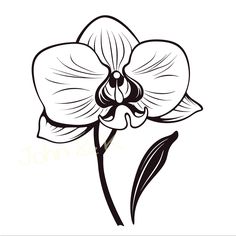 a black and white drawing of a flower