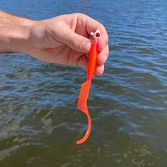 a hand holding an orange and red object in the water