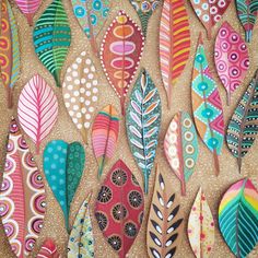 colorful feathers are arranged on a cork board