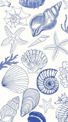 blue and white seashells are shown in this image, as well as other sea creatures