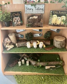 the shelves are filled with books and stuffed animals on mossy mats in front of them