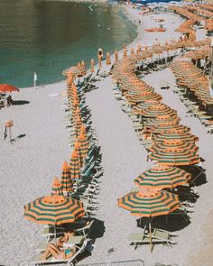 many orange and green umbrellas are lined up on the beach near the water's edge