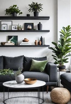 a living room filled with lots of furniture and potted plants on top of shelves