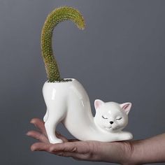 a hand holding a white cat planter with a cactus in it's mouth