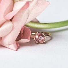 Floriane Pink Tourmaline Engagement Ring 14k Yellow Gold 1.3ct Round Pink Tourmaline Custom Cut by local lapidary artist Halo Basket Setting 1.5mm Round Smooth Band Size 7 Complimentary Sizing allow 2 weeks Pink Tourmaline Engagement Ring, Tourmaline Engagement Ring, Pink Engagement Ring, Basket Setting, Pink Tourmaline Ring, Pink Morganite, Tourmaline Ring, Pink Gemstones, Perfect Engagement Ring