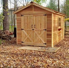 a wooden shed in the woods with leaves on the ground