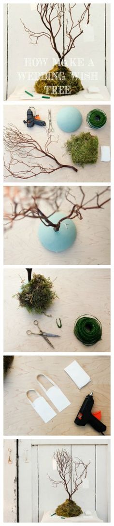 the process of making a bonsai tree is shown in three different stages, including cutting branches