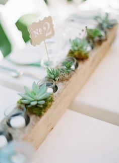 the table is set with succulents and place cards