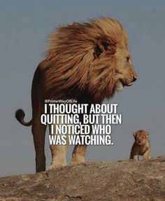 a lion standing on top of a rock next to a small cat with the caption i thought about quiting, but then i noticed who was watching