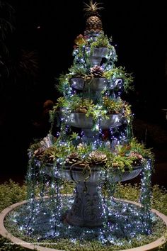 a christmas tree is lit up with lights