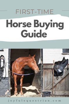 a horse is standing in its stall with the words first - time horse buying guide