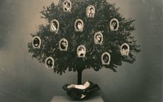 a family tree with many pictures on it in front of a gray background, surrounded by black and white photos