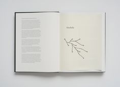 an open book with black lines on it