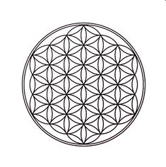 the flower of life symbol in black and white art print