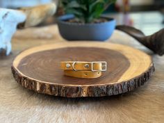 a pair of leather straps sitting on top of a wooden table next to a potted plant