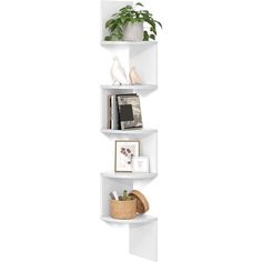 three white shelves with plants and pictures on them, one is leaning against the wall